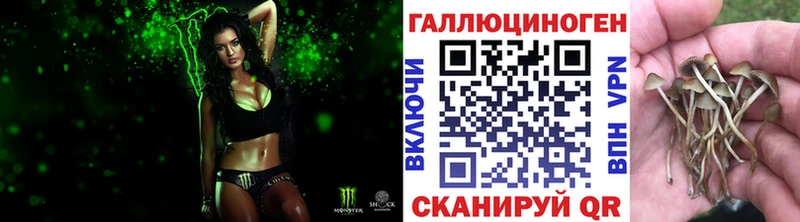Псилоцибиновые грибы Magic Shrooms  Пойковский 
